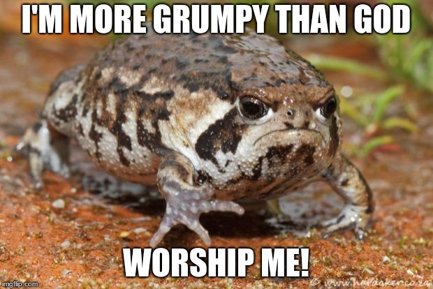 Grumpy Toad | I'M MORE GRUMPY THAN GOD; WORSHIP ME! | image tagged in memes,grumpy toad | made w/ Imgflip meme maker