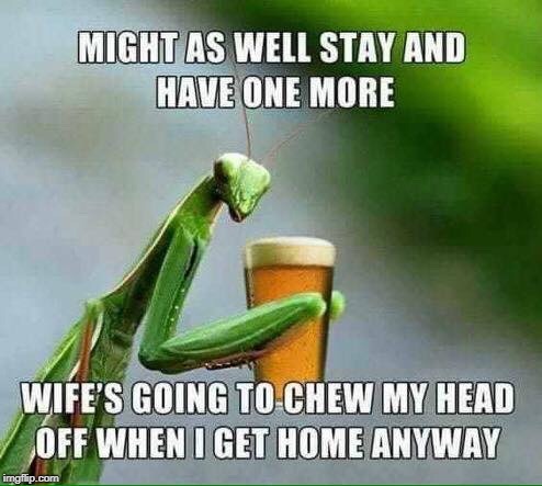 Make My Next Drink A Grasshopper | image tagged in praying mantis,beer,wife | made w/ Imgflip meme maker