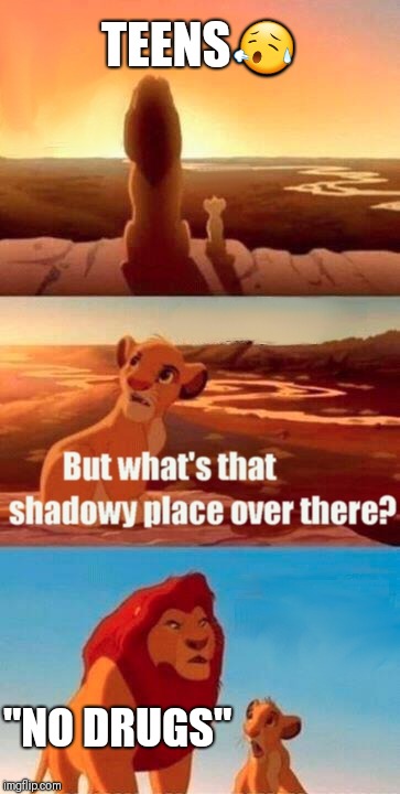 Simba Shadowy Place | TEENS😥; "NO DRUGS" | image tagged in memes,simba shadowy place | made w/ Imgflip meme maker