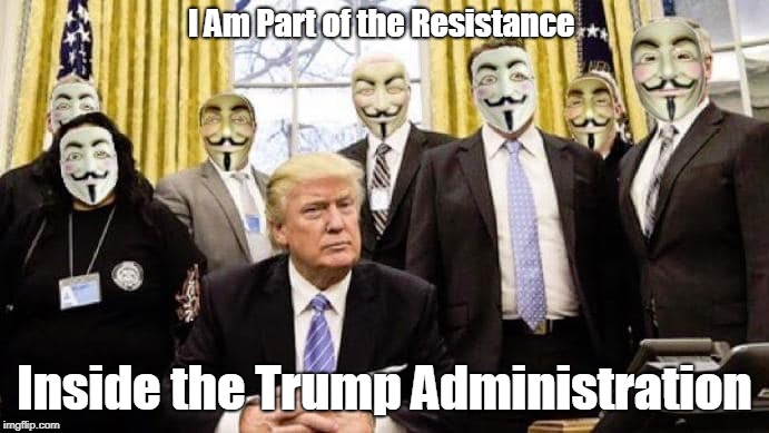 I Am Part of the Resistance Inside the Trump Administration | I Am Part of the Resistance; Inside the Trump Administration | image tagged in anonymous,theresistance,trump,shadow government | made w/ Imgflip meme maker