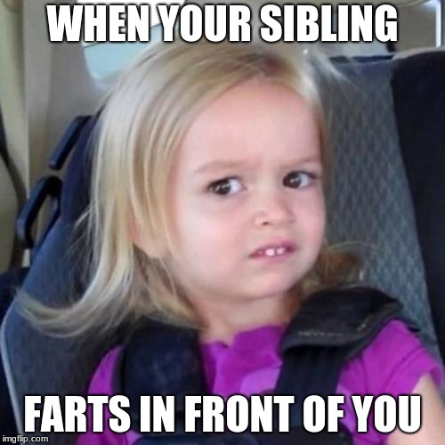 Can you not? | WHEN YOUR SIBLING; FARTS IN FRONT OF YOU | image tagged in can you not | made w/ Imgflip meme maker