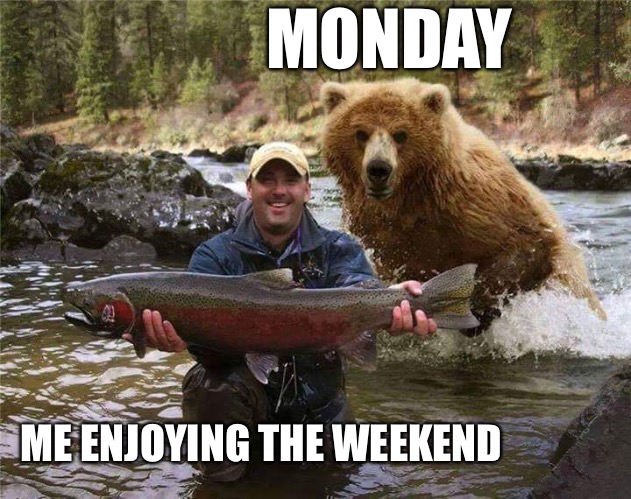 Monday  | MONDAY; ME ENJOYING THE WEEKEND | image tagged in monday | made w/ Imgflip meme maker