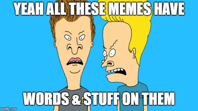Bevis and Butthead | YEAH ALL THESE MEMES HAVE WORDS & STUFF ON THEM | image tagged in bevis and butthead | made w/ Imgflip meme maker