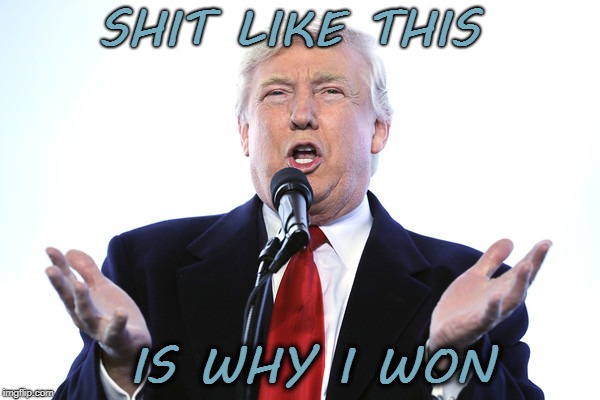 shit like this | SHIT LIKE THIS; IS WHY I WON | image tagged in trump | made w/ Imgflip meme maker