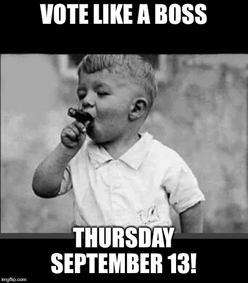 Vote midterms September 13 2018 | VOTE LIKE A BOSS; THURSDAY SEPTEMBER 13! | image tagged in midterms 2018,vote meme,vote midterms september 13,vote blue,blue wave meme | made w/ Imgflip meme maker