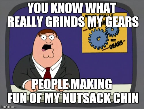Peter Griffin News | YOU KNOW WHAT REALLY GRINDS MY GEARS; PEOPLE MAKING FUN OF MY NUTSACK CHIN | image tagged in memes,peter griffin news | made w/ Imgflip meme maker