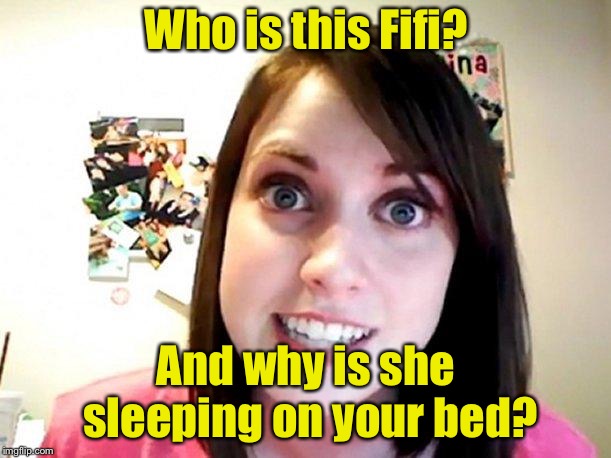 When your dog sleeps on the bed with you | Who is this Fifi? And why is she sleeping on your bed? | image tagged in overly attached girlfriend pink,memes,dogs | made w/ Imgflip meme maker