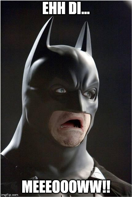 Batman Scared | EHH DI... MEEEOOOWW!! | image tagged in batman scared | made w/ Imgflip meme maker