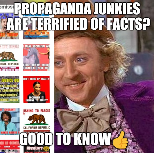 Creepy Condescending Wonka Meme | PROPAGANDA JUNKIES ARE TERRIFIED OF FACTS? GOOD TO KNOW | image tagged in memes,creepy condescending wonka | made w/ Imgflip meme maker