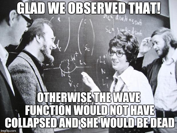 Nuclear Equation on Blackboard | GLAD WE OBSERVED THAT! OTHERWISE THE WAVE FUNCTION WOULD NOT HAVE COLLAPSED AND SHE WOULD BE DEAD | image tagged in nuclear equation on blackboard | made w/ Imgflip meme maker