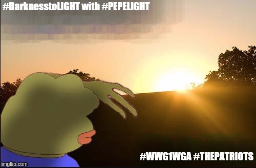 #DarknesstoLIGHT with #PEPELIGHT; #WWG1WGA #THEPATRIOTS | made w/ Imgflip meme maker