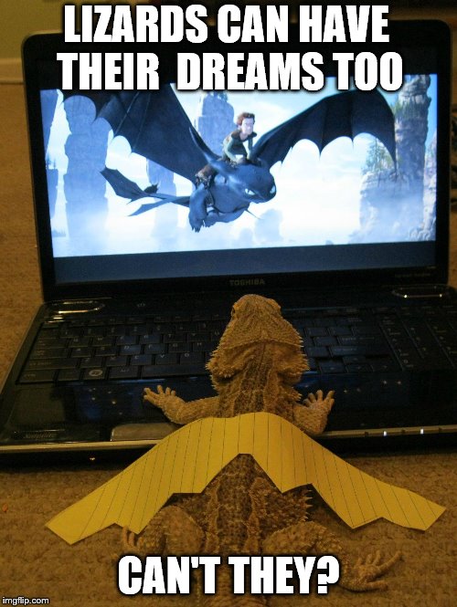 Lizards can dream too | LIZARDS CAN HAVE THEIR 
DREAMS TOO; CAN'T THEY? | image tagged in lizard,bearded dragon,beardie,bearded,dreams,dragons | made w/ Imgflip meme maker