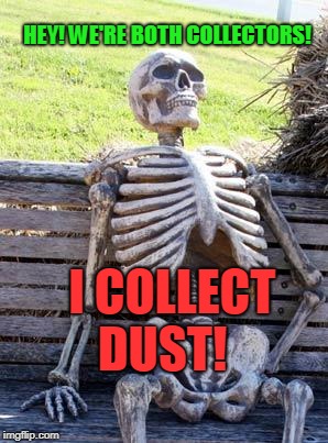 Waiting Skeleton Meme | I COLLECT DUST! HEY! WE'RE BOTH COLLECTORS! | image tagged in memes,waiting skeleton | made w/ Imgflip meme maker