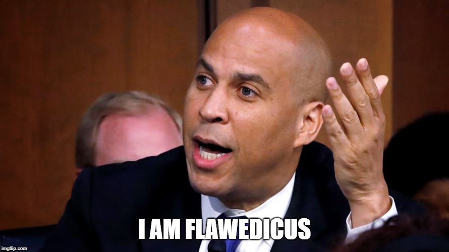 I AM FLAWEDICUS | image tagged in politics | made w/ Imgflip meme maker