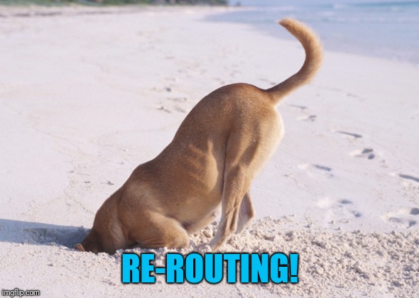 Do you have the Waze app? | RE-ROUTING! | image tagged in digging dog | made w/ Imgflip meme maker