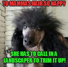 Nappy-headed bae | YO MAMMAS HAIR SO NAPPY SHE HAS TO CALL IN A LANDSCAPER TO TRIM IT UP! | image tagged in nappy-headed bae | made w/ Imgflip meme maker