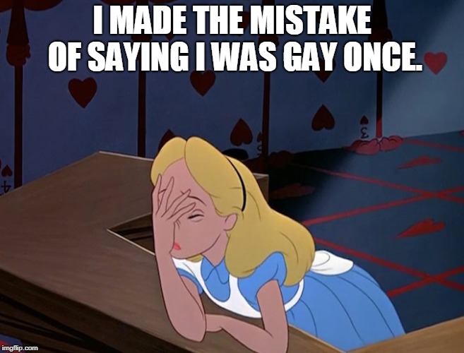 Alice in Wonderland Face Palm Facepalm | I MADE THE MISTAKE OF SAYING I WAS GAY ONCE. | image tagged in alice in wonderland face palm facepalm | made w/ Imgflip meme maker
