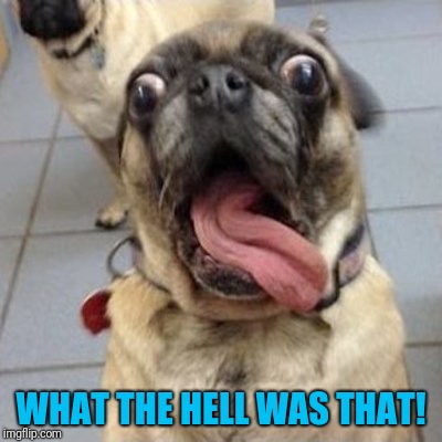 WHAT THE HELL WAS THAT! | made w/ Imgflip meme maker