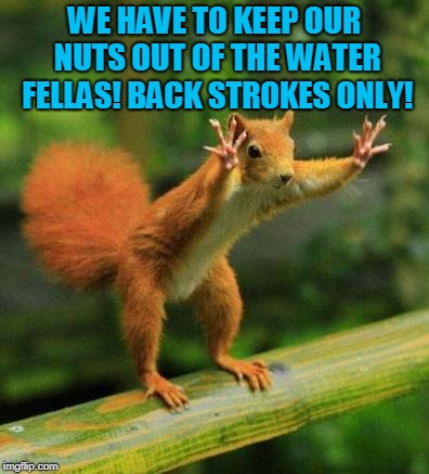 funny sqirrel | WE HAVE TO KEEP OUR NUTS OUT OF THE WATER FELLAS! BACK STROKES ONLY! | image tagged in funny sqirrel | made w/ Imgflip meme maker