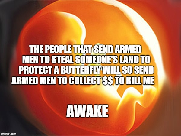 unborn child | THE PEOPLE THAT SEND ARMED MEN TO STEAL SOMEONE'S LAND TO PROTECT A BUTTERFLY WILL SO SEND ARMED MEN TO COLLECT $$ TO KILL ME; AWAKE | image tagged in unborn child | made w/ Imgflip meme maker