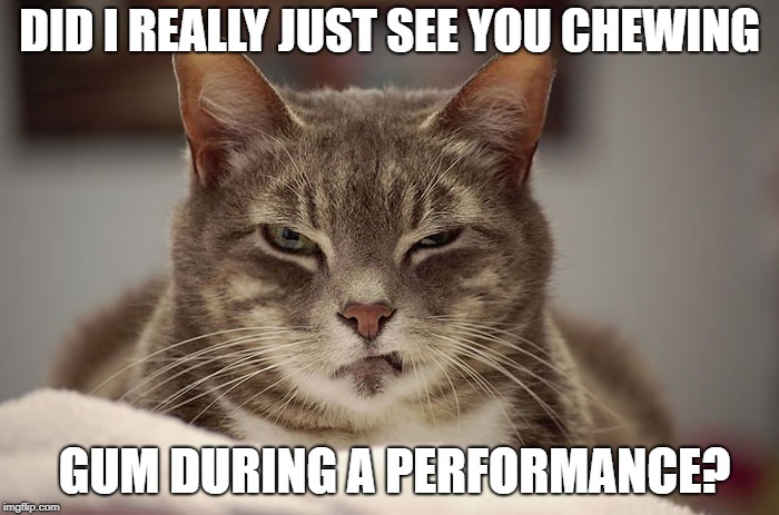 DID I REALLY JUST SEE YOU CHEWING; GUM DURING A PERFORMANCE? | image tagged in angry cat | made w/ Imgflip meme maker