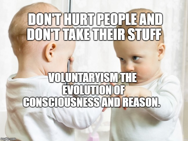 Mirror Baby | DON'T HURT PEOPLE AND DON'T TAKE THEIR STUFF; VOLUNTARYISM THE EVOLUTION OF CONSCIOUSNESS AND REASON. | image tagged in mirror baby | made w/ Imgflip meme maker