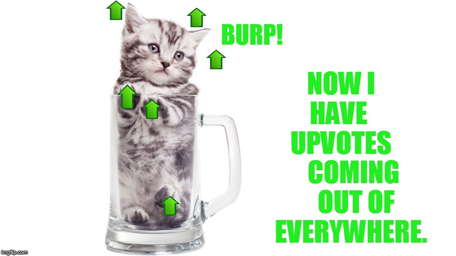 Upvote Week Sept 10-14 a Landon_the_memer and 1forpeace  event | NOW I   HAVE     UPVOTES      COMING     OUT OF   EVERYWHERE. BURP! | image tagged in memes,cat,drunk,upvote week,coming out,everywhere | made w/ Imgflip meme maker