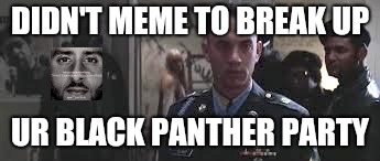 Forrest Gump black panther | DIDN'T MEME TO BREAK UP; UR BLACK PANTHER PARTY | image tagged in forrest gump black panther | made w/ Imgflip meme maker
