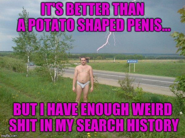 Why | IT'S BETTER THAN A POTATO SHAPED P**IS... BUT I HAVE ENOUGH WEIRD SHIT IN MY SEARCH HISTORY | image tagged in why | made w/ Imgflip meme maker