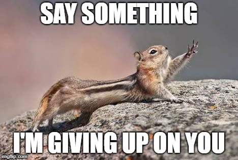 say something | SAY SOMETHING; I'M GIVING UP ON YOU | image tagged in say something | made w/ Imgflip meme maker