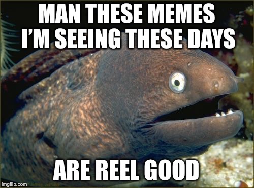 Bad Joke Eel Meme | MAN THESE MEMES I’M SEEING THESE DAYS; ARE REEL GOOD | image tagged in memes,bad joke eel | made w/ Imgflip meme maker