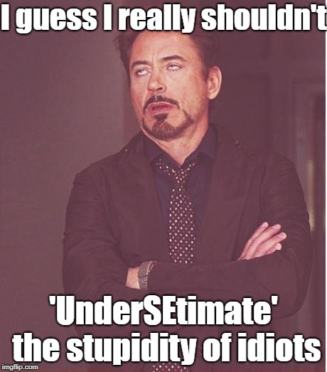 Face You Make Robert Downey Jr Meme | I guess I really shouldn't 'UnderSEtimate' the stupidity of idiots | image tagged in memes,face you make robert downey jr | made w/ Imgflip meme maker