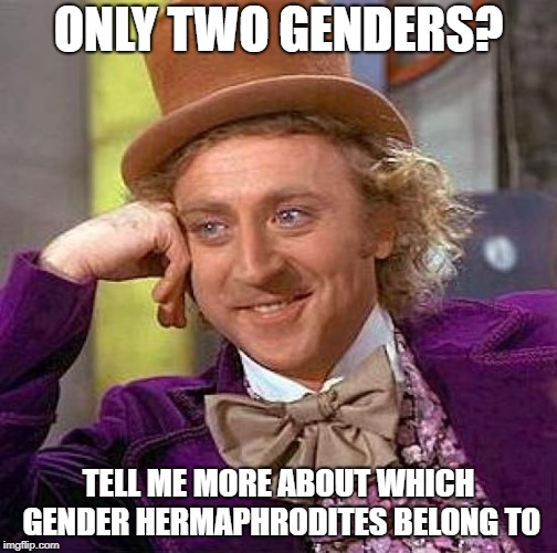 Creepy Condescending Wonka Meme | ONLY TWO GENDERS? TELL ME MORE ABOUT WHICH GENDER HERMAPHRODITES BELONG TO | image tagged in memes,creepy condescending wonka | made w/ Imgflip meme maker