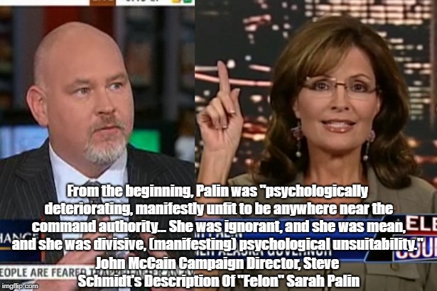 From the beginning, Palin was "psychologically deteriorating, manifestly unfit to be anywhere near the command authority... She was ignorant | made w/ Imgflip meme maker