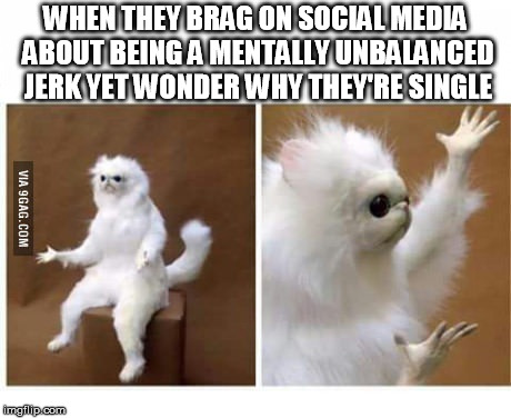 strange wtf cat | WHEN THEY BRAG ON SOCIAL MEDIA ABOUT BEING A MENTALLY UNBALANCED JERK YET WONDER WHY THEY'RE SINGLE | image tagged in strange wtf cat | made w/ Imgflip meme maker