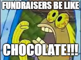Chocolate | FUNDRAISERS BE LIKE; CHOCOLATE!!! | image tagged in chocolate | made w/ Imgflip meme maker