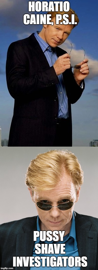 HORATIO CAINE, P.S.I. PUSSY SHAVE INVESTIGATORS | made w/ Imgflip meme maker