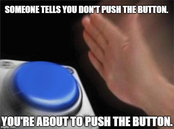 Blank Nut Button | SOMEONE TELLS YOU DON'T PUSH THE BUTTON. YOU'RE ABOUT TO PUSH THE BUTTON. | image tagged in memes,blank nut button | made w/ Imgflip meme maker