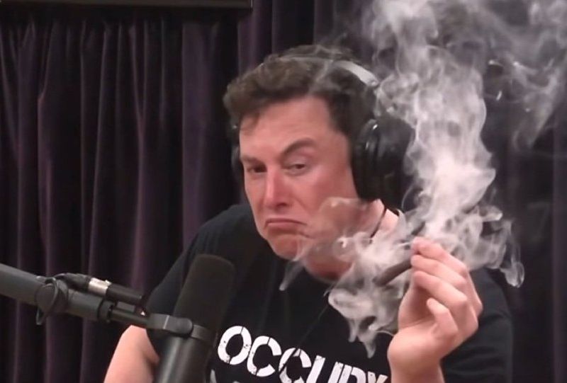 High Quality Elon Musk smokes a joint and looks at it Blank Meme Template