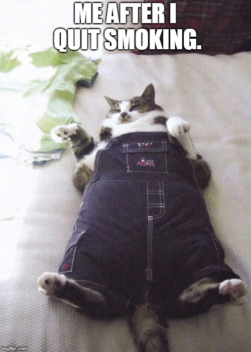 Fat Cat Meme | ME AFTER I QUIT SMOKING. | image tagged in memes,fat cat | made w/ Imgflip meme maker