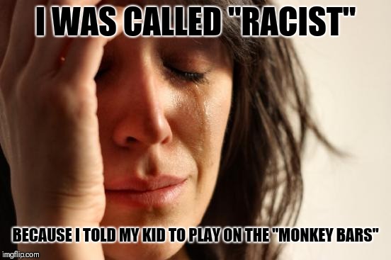 First World Problems Meme | I WAS CALLED "RACIST"; BECAUSE I TOLD MY KID TO PLAY ON THE "MONKEY BARS" | image tagged in memes,first world problems | made w/ Imgflip meme maker