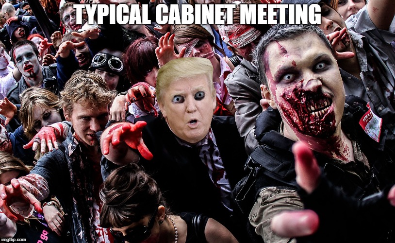 Typical Cabinet Meeting | TYPICAL CABINET MEETING | image tagged in donald trump,trump,president trump,trump cabinet | made w/ Imgflip meme maker