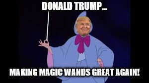 Magic wand | DONALD TRUMP... MAKING MAGIC WANDS GREAT AGAIN! | image tagged in donald trump | made w/ Imgflip meme maker