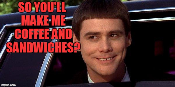 dumb and dumber | SO YOU'LL MAKE ME COFFEE AND SANDWICHES? | image tagged in dumb and dumber | made w/ Imgflip meme maker
