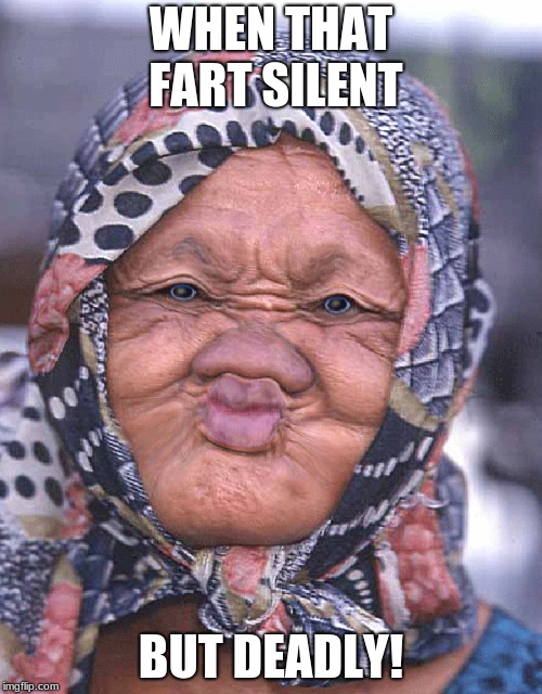 WHEN THAT FART SILENT; BUT DEADLY! | image tagged in memes,too funny,so true memes | made w/ Imgflip meme maker