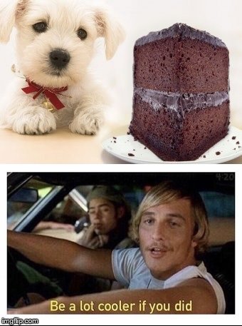 Hmm... | . | image tagged in memes,be a lot cooler if you did,dog,chocolate | made w/ Imgflip meme maker