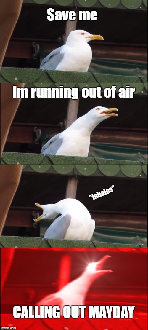 FatRat | Save me; Im running out of air; "inhales"; CALLING OUT MAYDAY | image tagged in memes,inhaling seagull | made w/ Imgflip meme maker
