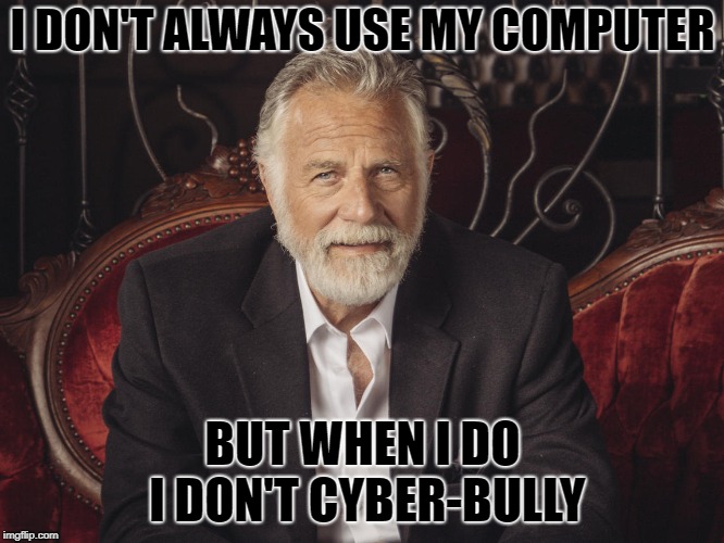 I DON'T ALWAYS USE MY COMPUTER; BUT WHEN I DO I DON'T CYBER-BULLY | image tagged in memes | made w/ Imgflip meme maker
