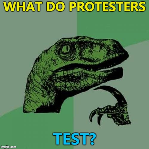 How do you go from amateur to pro? :) | WHAT DO PROTESTERS; TEST? | image tagged in memes,philosoraptor,protesters | made w/ Imgflip meme maker