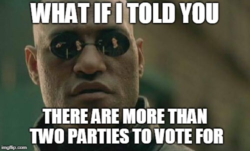 Matrix Morpheus Meme | WHAT IF I TOLD YOU; THERE ARE MORE THAN TWO PARTIES TO VOTE FOR | image tagged in memes,matrix morpheus | made w/ Imgflip meme maker
